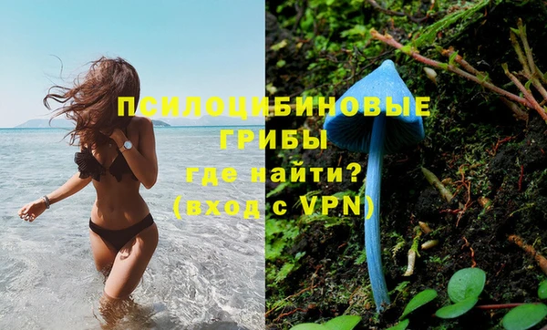 спиды Абдулино